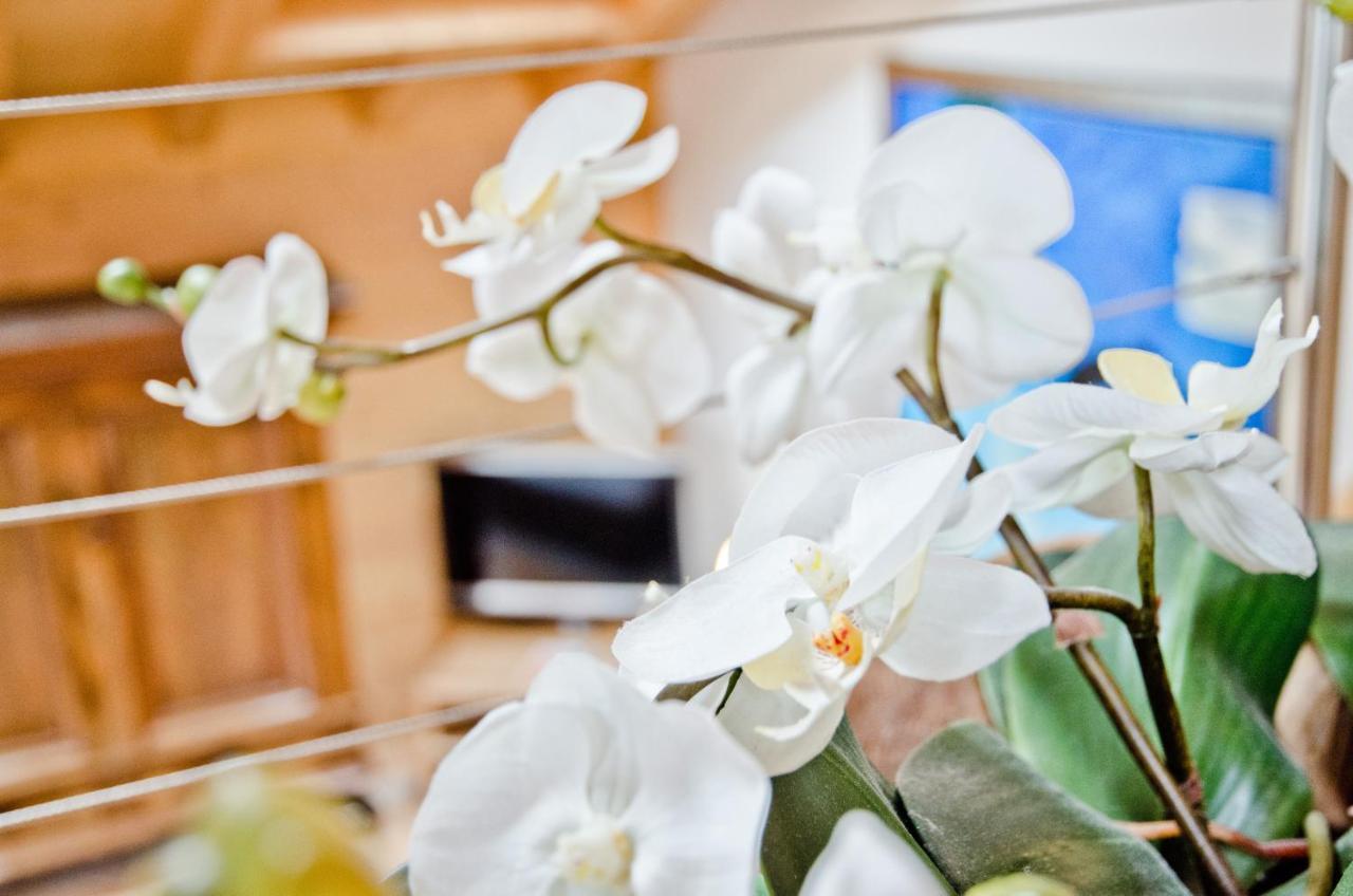 Apartment Baergrose - Griwa Rent Ag กรินเดลวัลด์ ภายนอก รูปภาพ